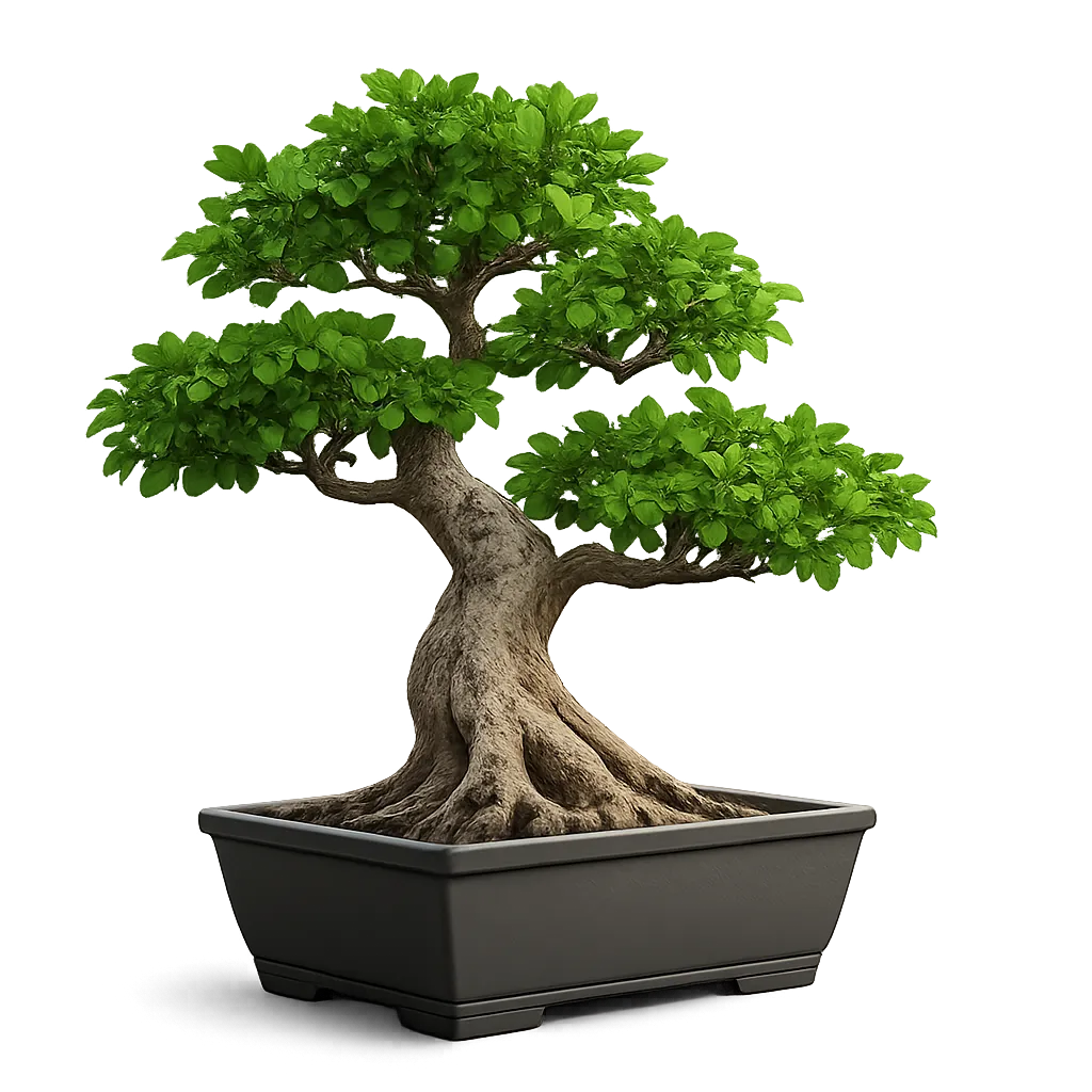 bonsai modern cutout 01